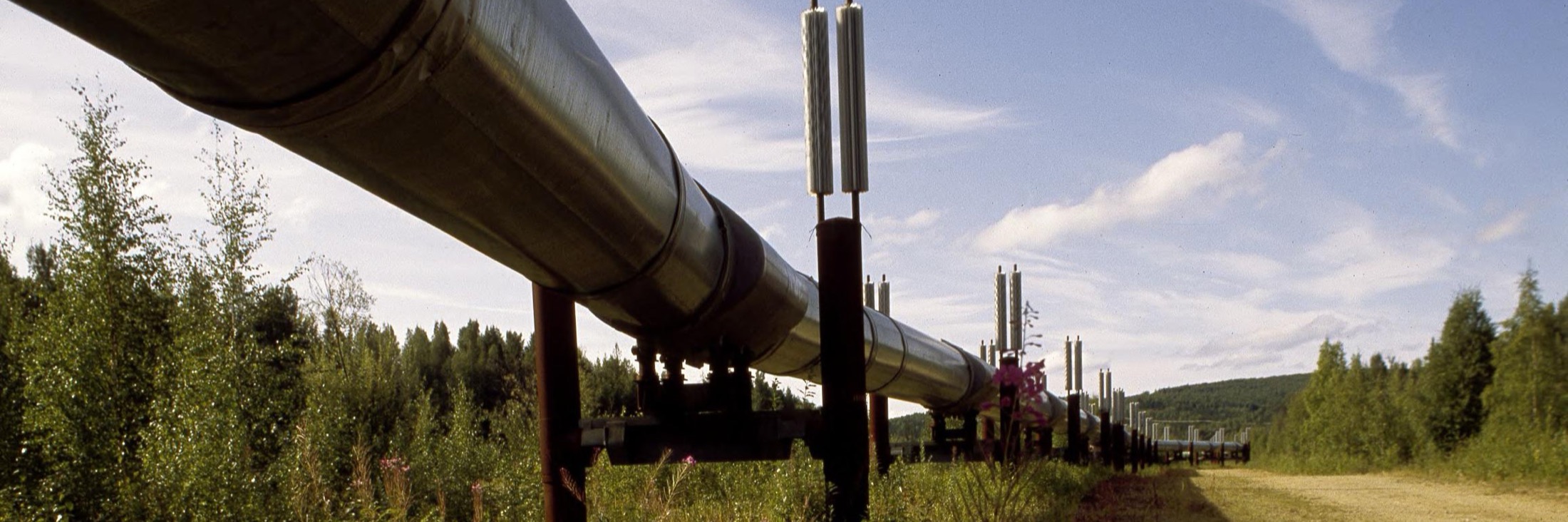 Alaskan Pipeline